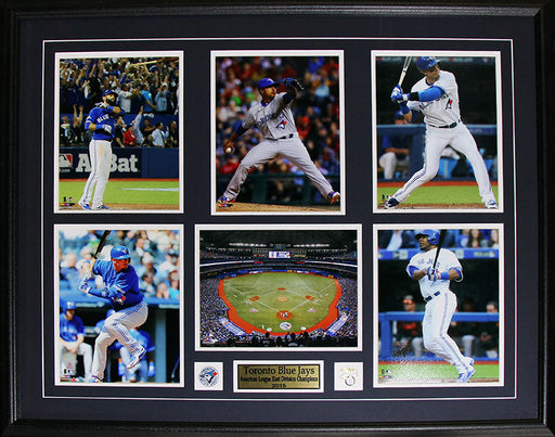 Toronto Blue Jays 2015 AL East Division Champions 6 Photograph Baseball Frame