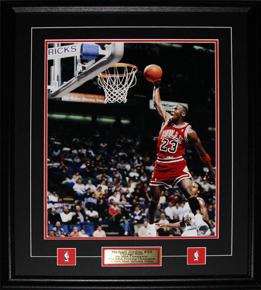 Michael Jordan Chicago Bulls Basketball 16x20 Basketball Collector Frame