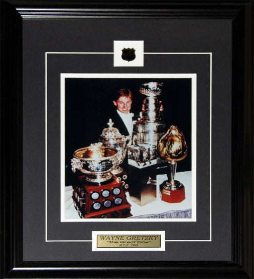 Wayne Gretzky Edmonton Oilers Stanley Cups & Trophies 8x10 Hockey Frame