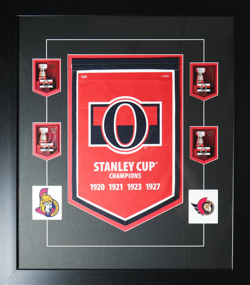 Ottawa Senators Stanley Cup Felt Banner With Panini Cards Sports Hockey Memorabilia Collector Frame