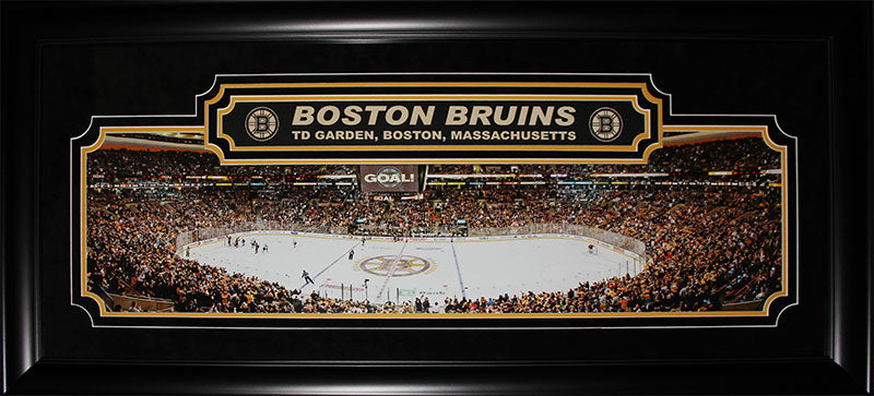 Boston Bruins TD Garden Panorama Deluxe Hockey Memorabilia Collector ...