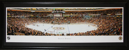 Boston Bruins TD Garden Panorama Hockey Memorabilia Collector Frame