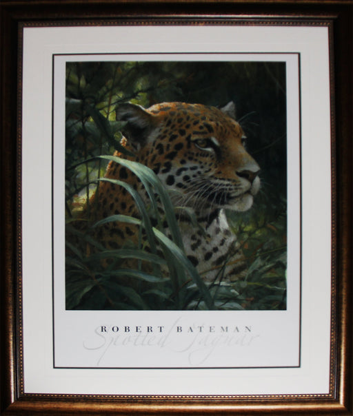 Symbol of the Rainforest Spotted Jaguar by Robert Bateman Wildlife Fine Art Print Frame