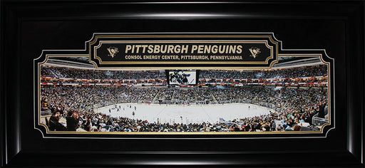Pittsburgh Penguins Consol Energy Center Panorama Deluxe Hockey Frame