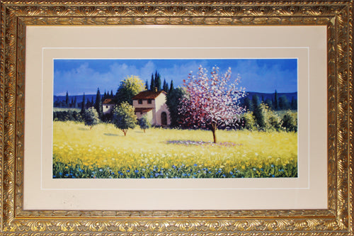 Spring Blossoms by David Short Meadow Art Print Memorabilia Collector Frame
