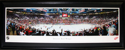 Detroit Red Wings Joe Louis Arena Panorama Hockey Collector Frame