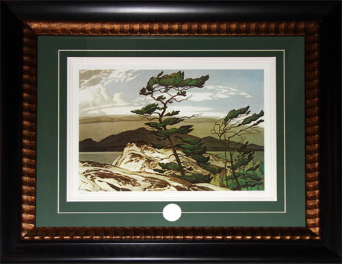 White Pine 1957 by Alfred Joseph A. J. Casson Canadian Art Print Frame Group of Seven