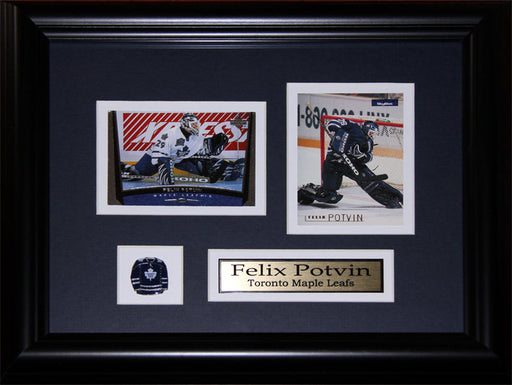 Felix Potvin Toronto Maple Leafs 2 Card Hockey Memorabilia Collector Frame