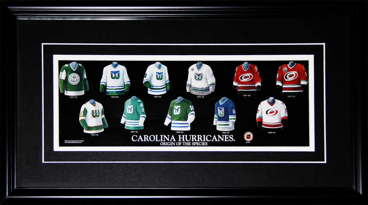Carolina Hurricanes Hartford Whalers Jersey Evolution Hockey Collector Frame