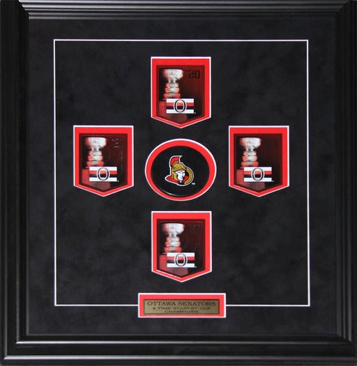 Ottawa Senators Stanley Cup Panini Cards Hockey Memorabilia Collector Frame