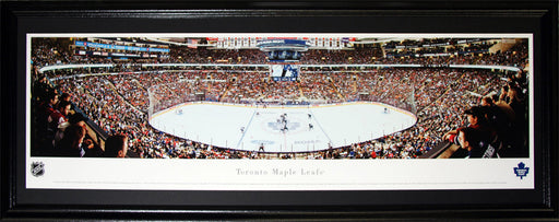 Toronto Maple Leafs Air Canada Centre Panorama Hockey Collector Frame