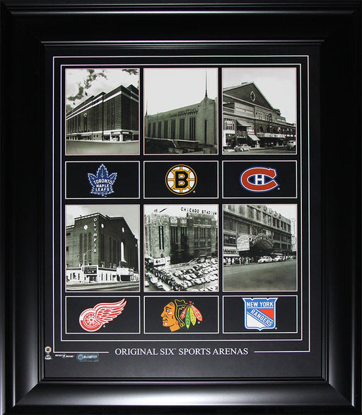 Original Six Arenas 16x20 compilation Hockey Memorabilia Collector Frame