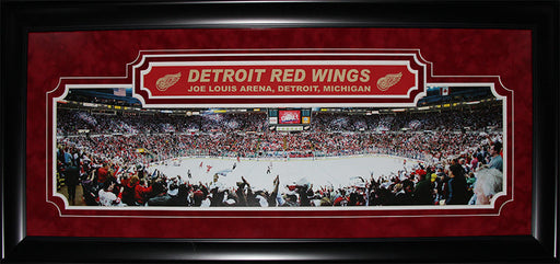 Detroit Red Wings Joe Louis Arena Panorama Deluxe Hockey Collector Frame