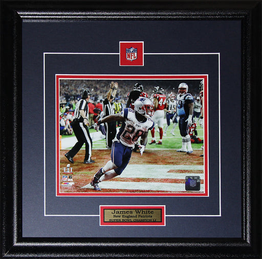 James White New England Patriots Superbowl LI 8x10 Football Collector Frame