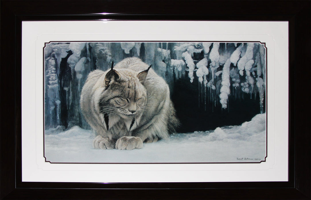 Dozing Lynx by Robert Bateman Fine Art Print in Deluxe Collector Frame Finish