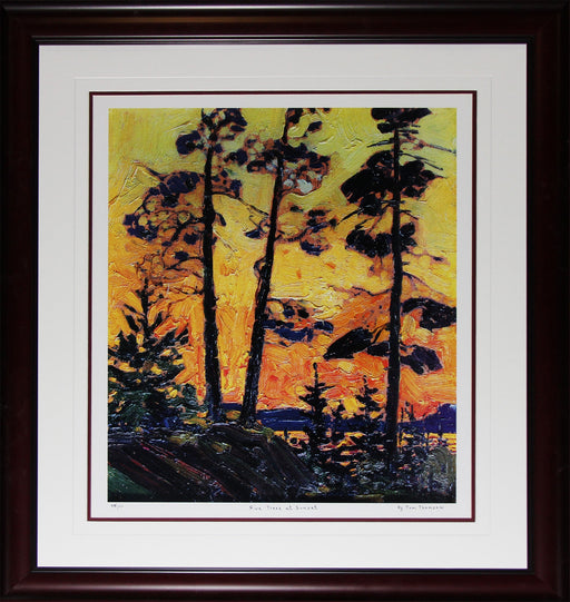 Pine Trees At Sunset Summer 1915 Canadian Art By Tom Thomson Group of Seven