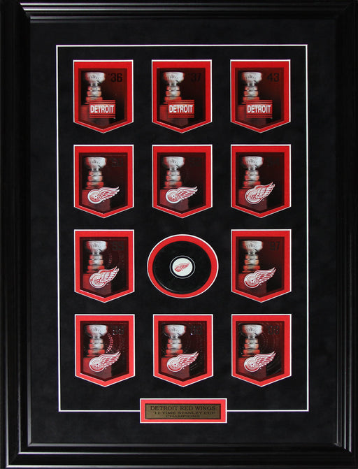 Detroit Red Wings Stanley Cup Panini Cards Hockey Collector Frame