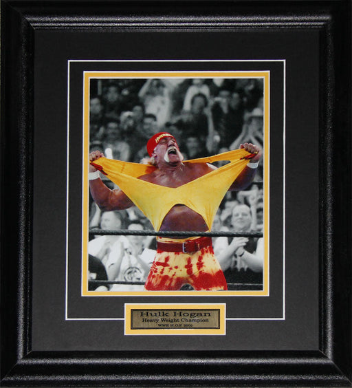 Hulk Hogan WWF WWE World Wrestling Entertainment Federation 8x10 Collector Frame